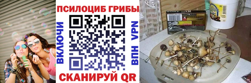 Галлюциногенные грибы мухоморы Краснообск